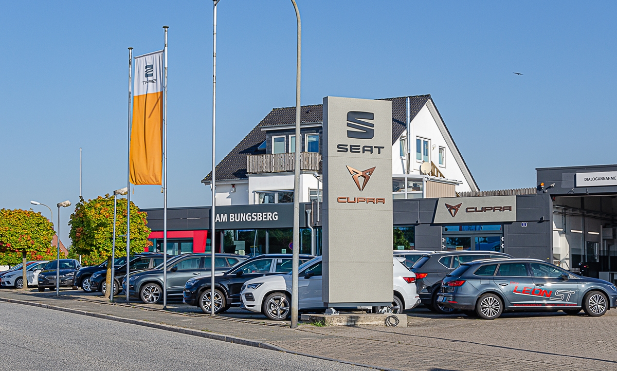 Autohaus Am Bungsberg Gmbh Co Kg